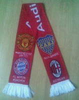 /album/new-scarves/audicup2-jpg1/